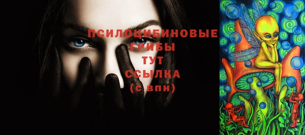 МДПВ Алексин
