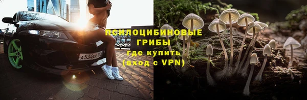 ешки Алексеевка