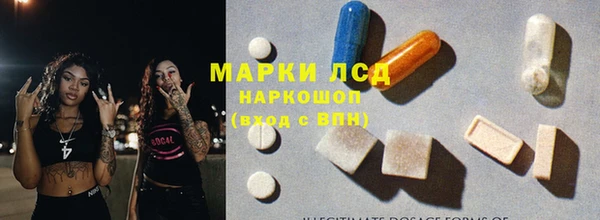 apvp Алзамай