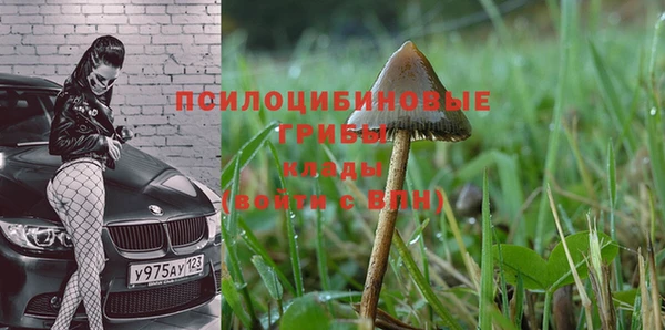 а пвп мука Абдулино