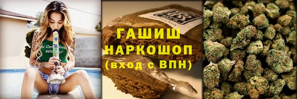 apvp Алзамай