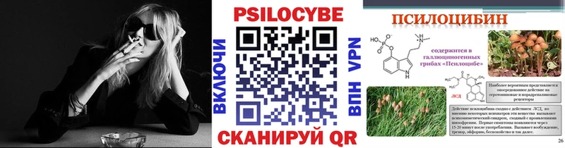 МЕГА   это наркотические препараты  Псилоцибиновые грибы Psilocybine cubensis  где продают наркотики  Питкяранта 